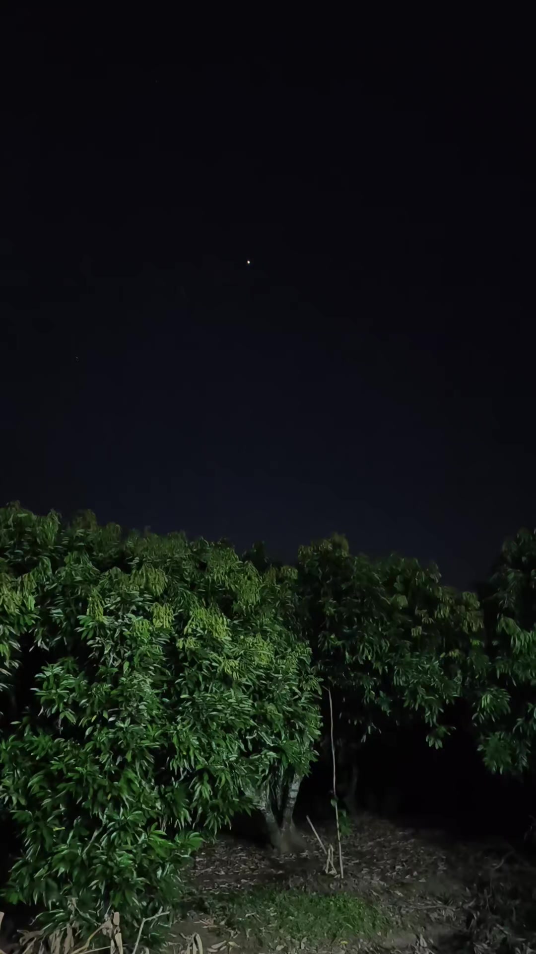 @Sáo Diều Huân Nguyễn