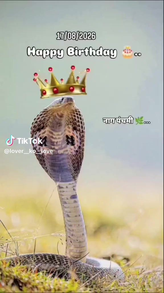 @Amit