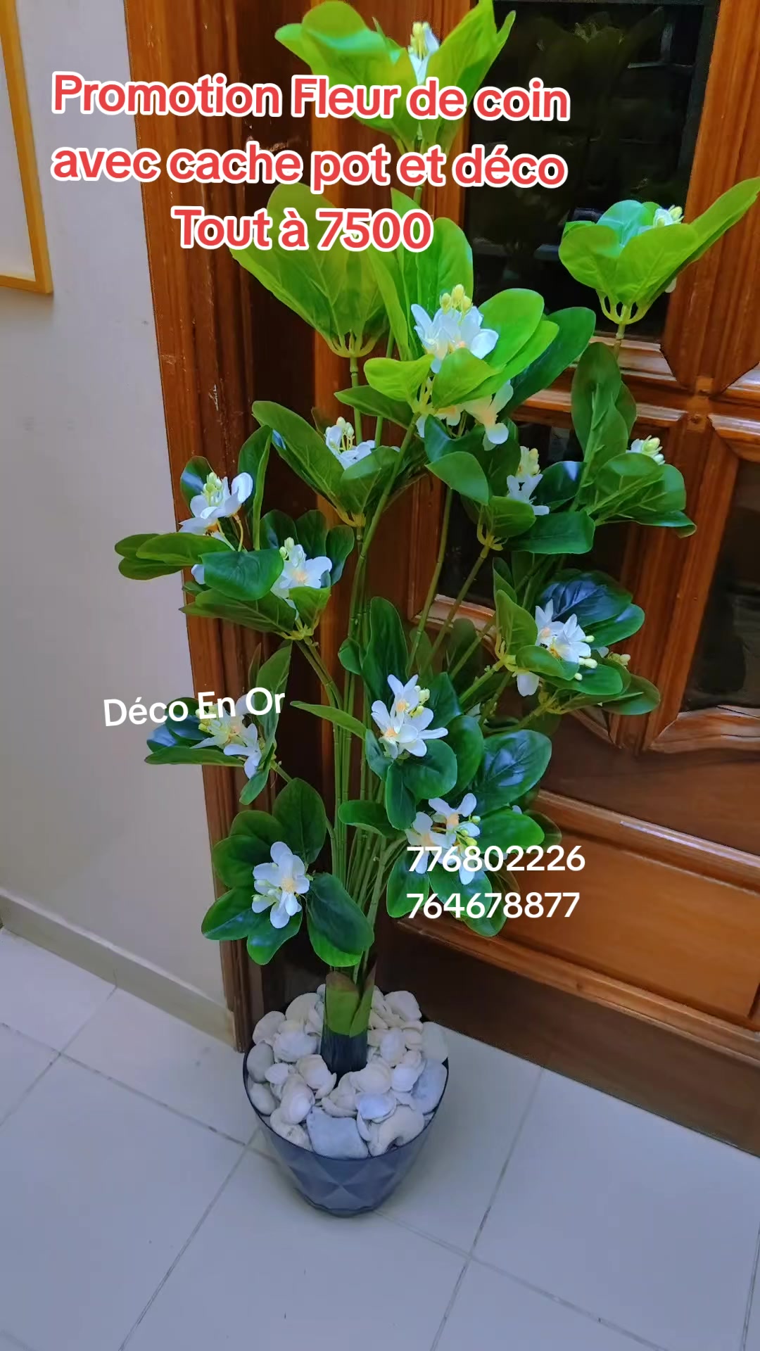 @DECO EN OR