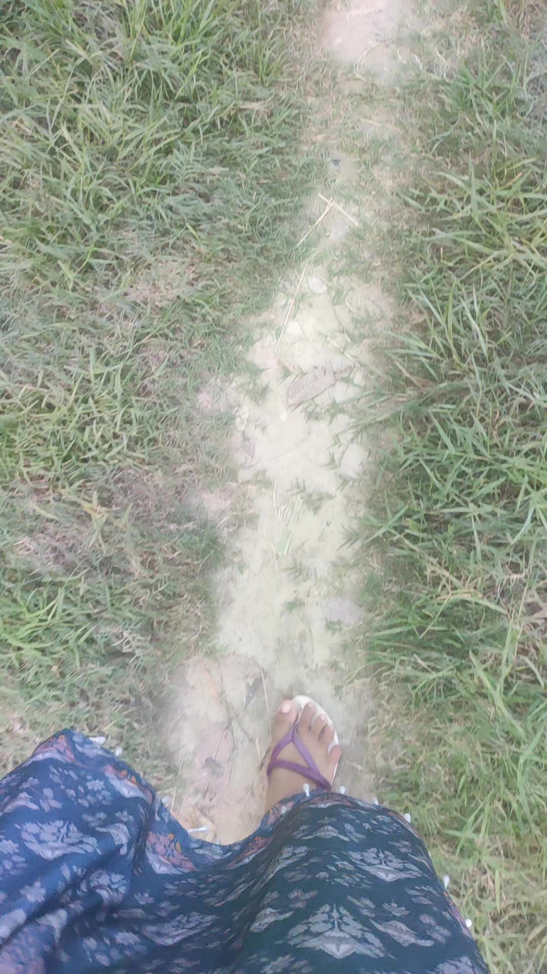 @মাহমুদ হাসান