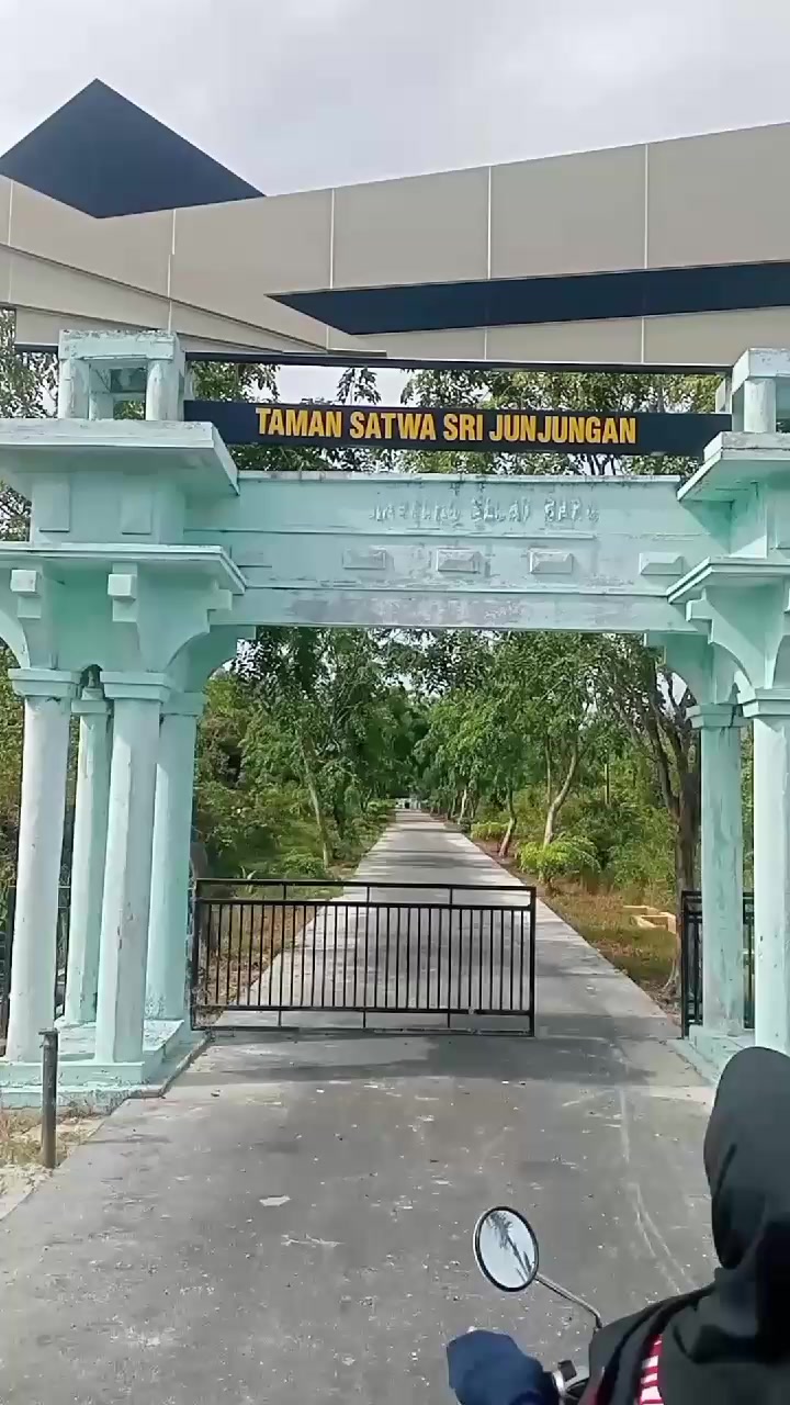 @umma ais