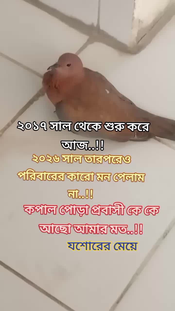 @SHAGRIKA