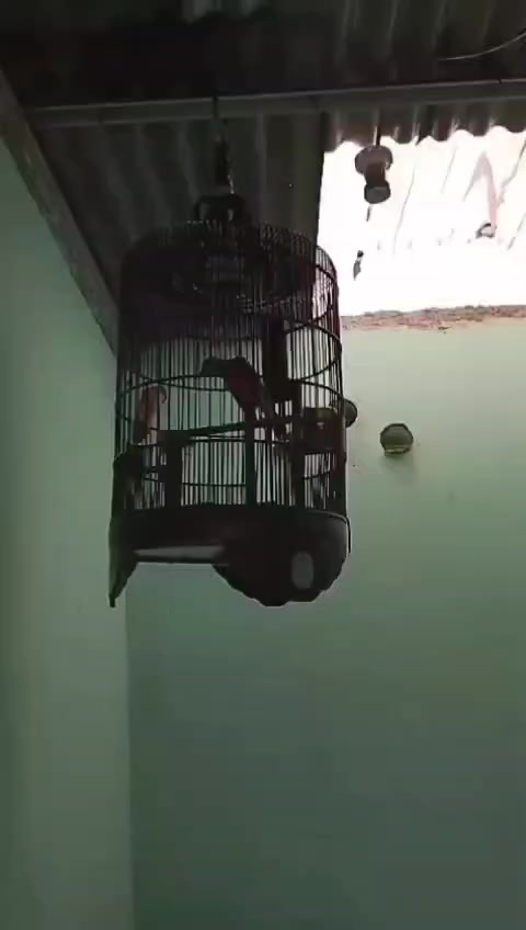 @Arunika09