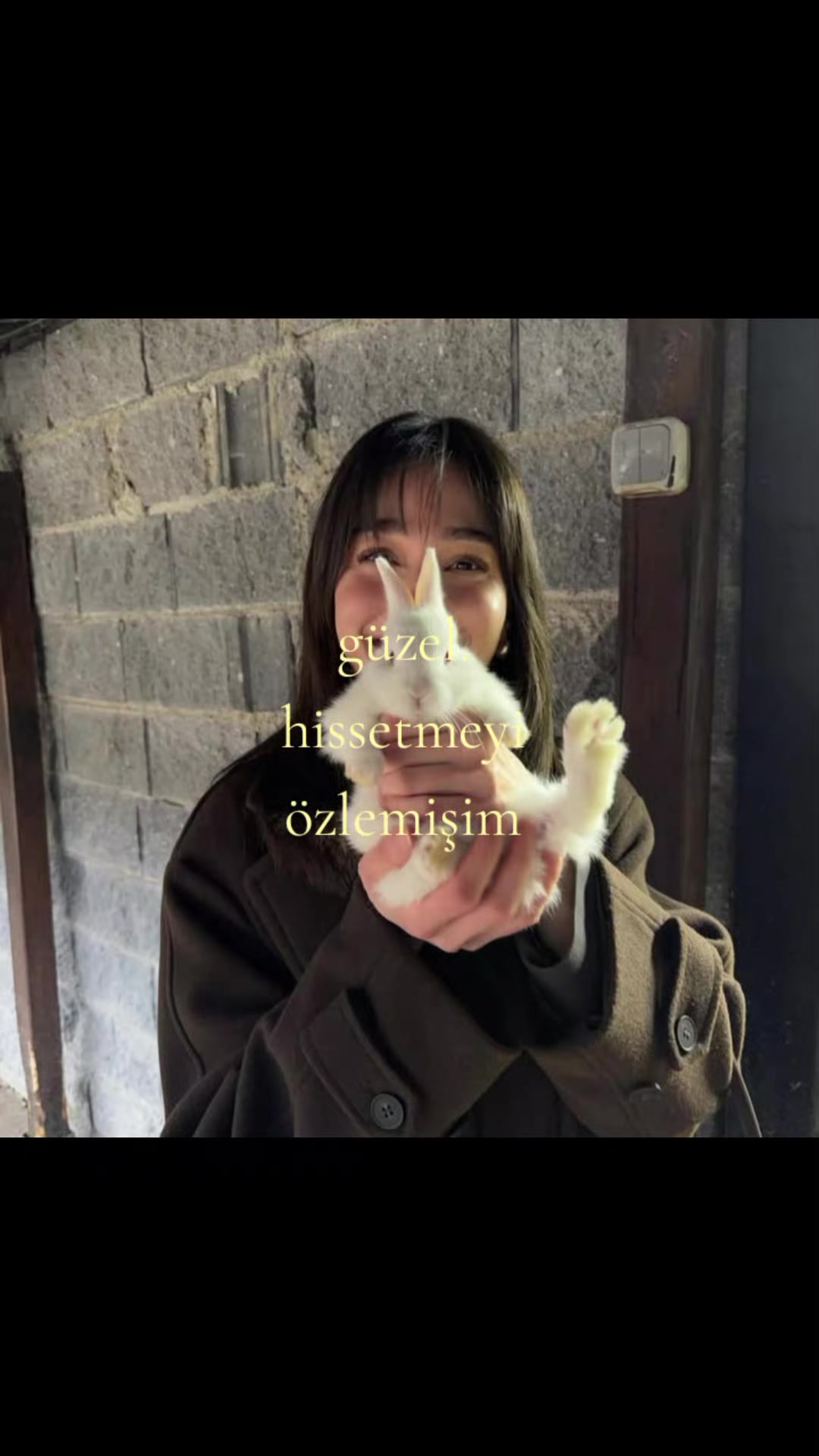 @🍷𝑺𝒐𝒍𝒊𝒕𝒖𝒅𝒆
