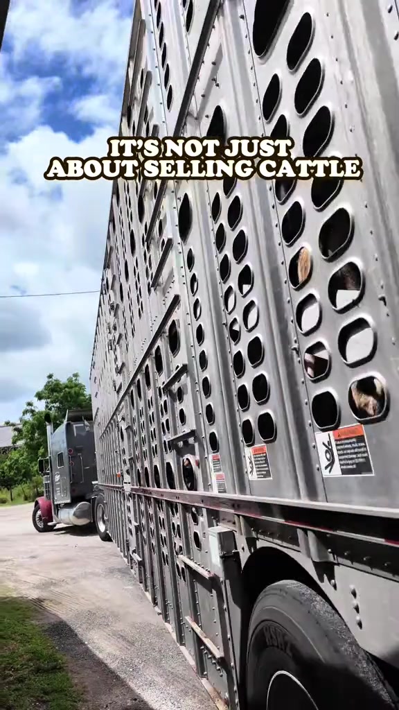 @Cattlemen’s Livestock Market