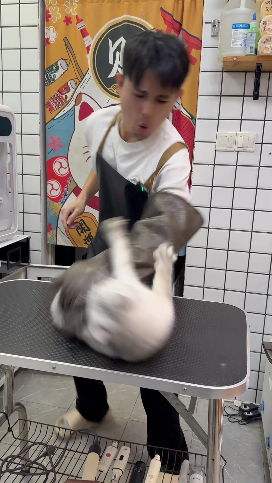 @washing.cats