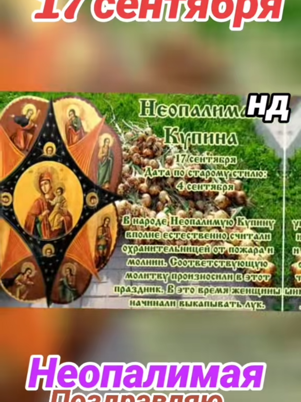 @Ната