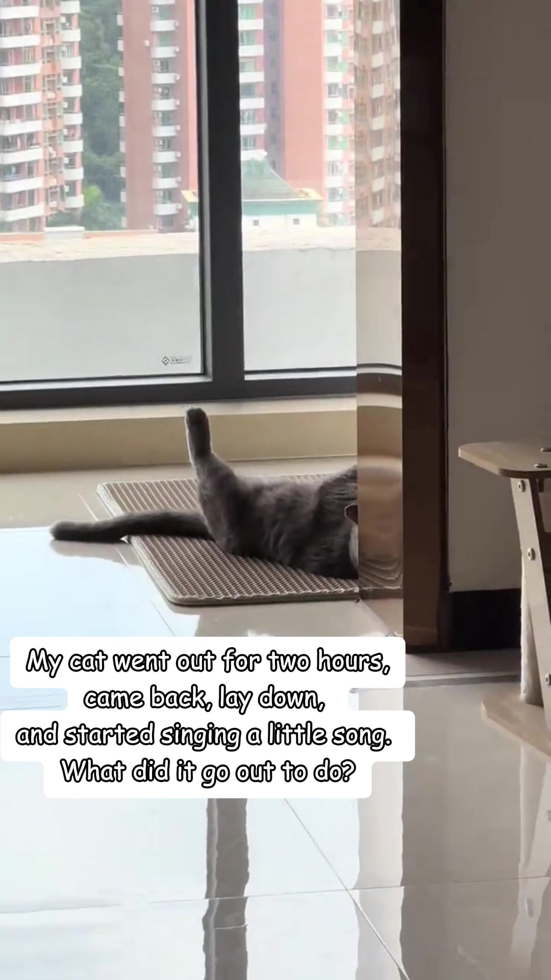 @MoewaiiCat