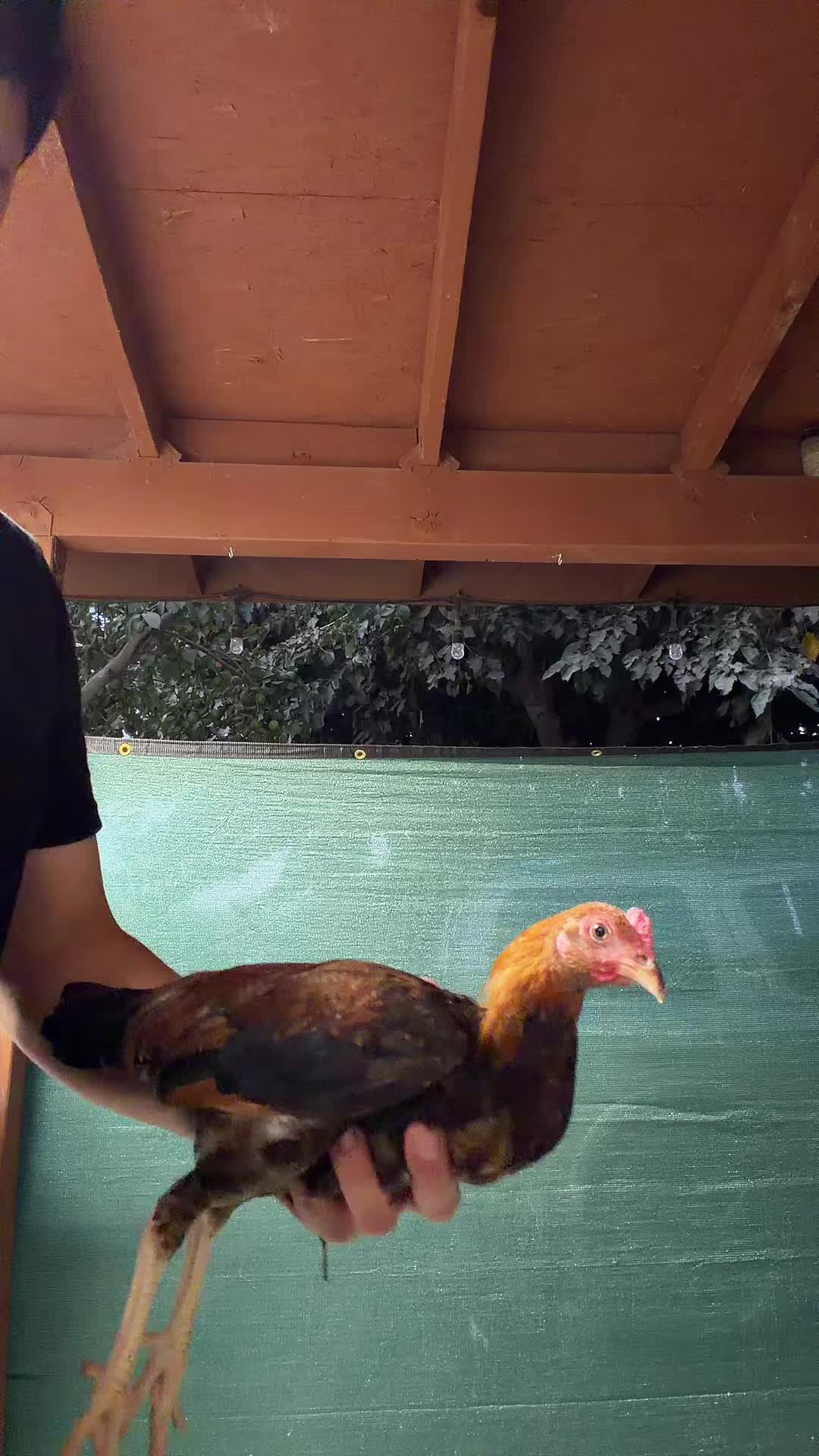 @Stranger Game Farm