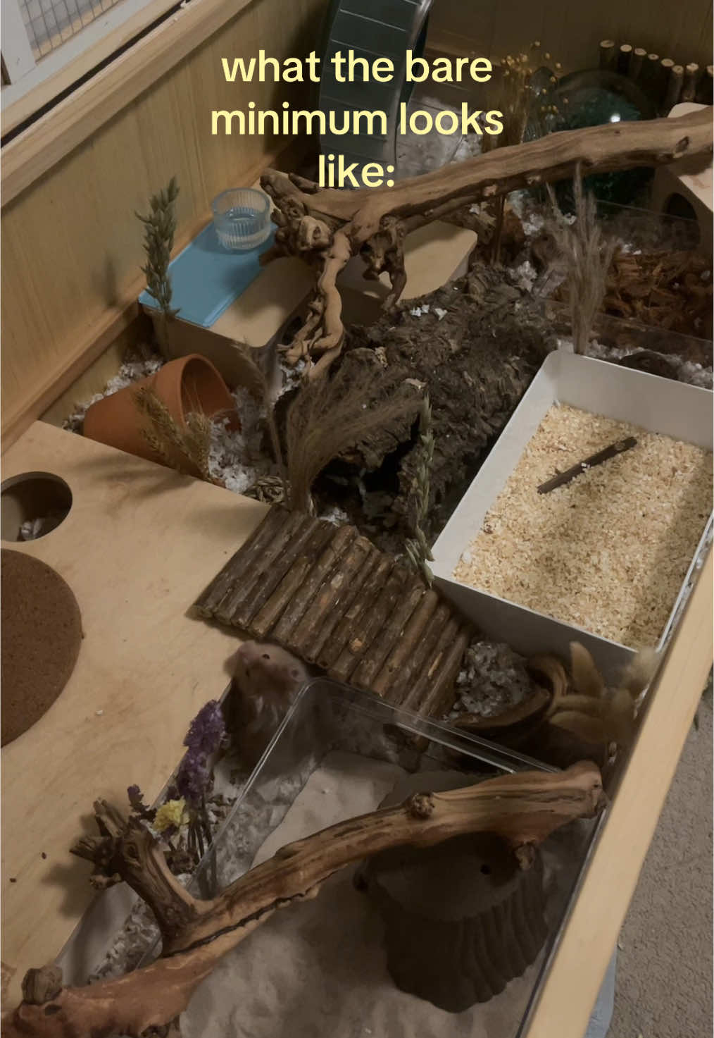@ɪꜱʟᴀ