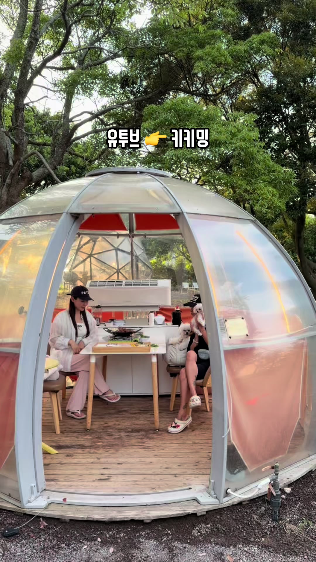 @jeju_kiki