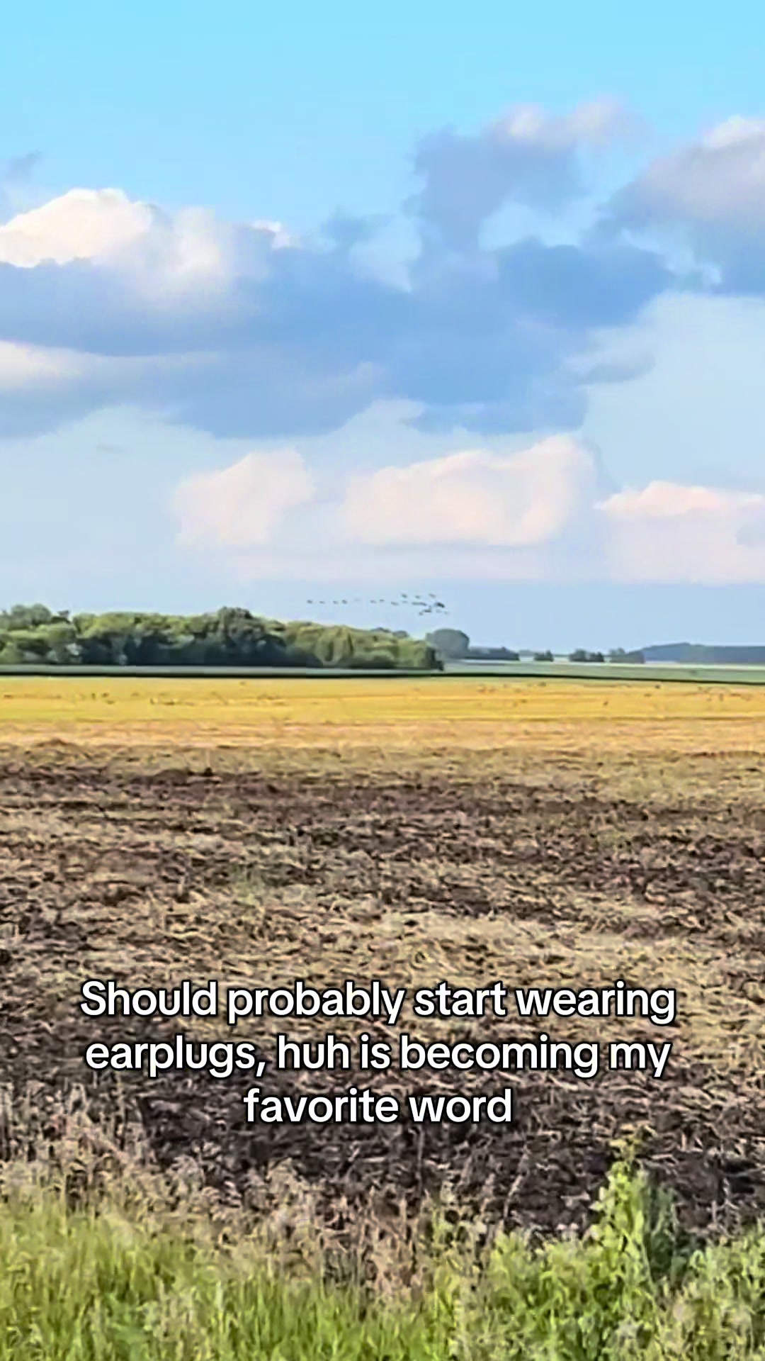 @Midwest Wild