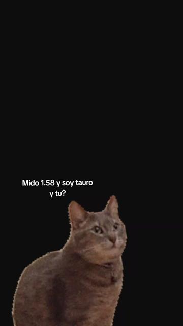 @Namy 🐷