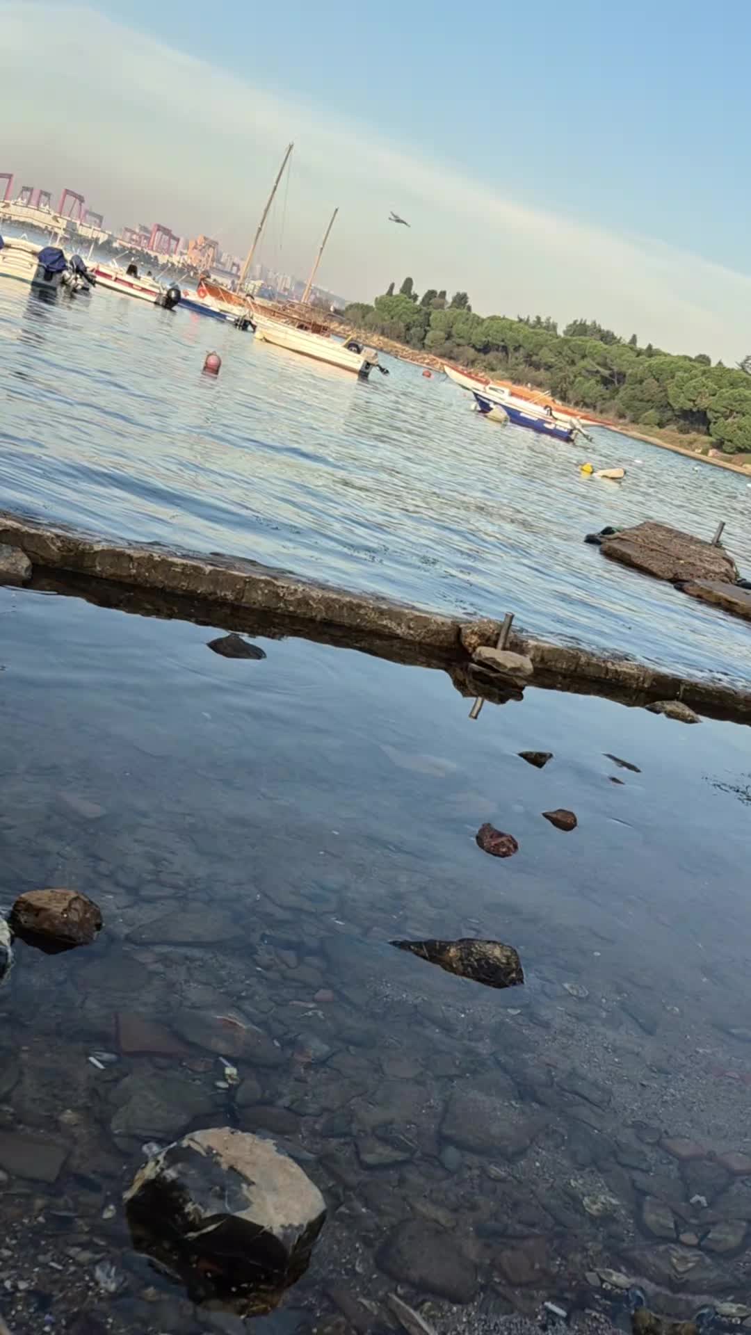 @hayel41