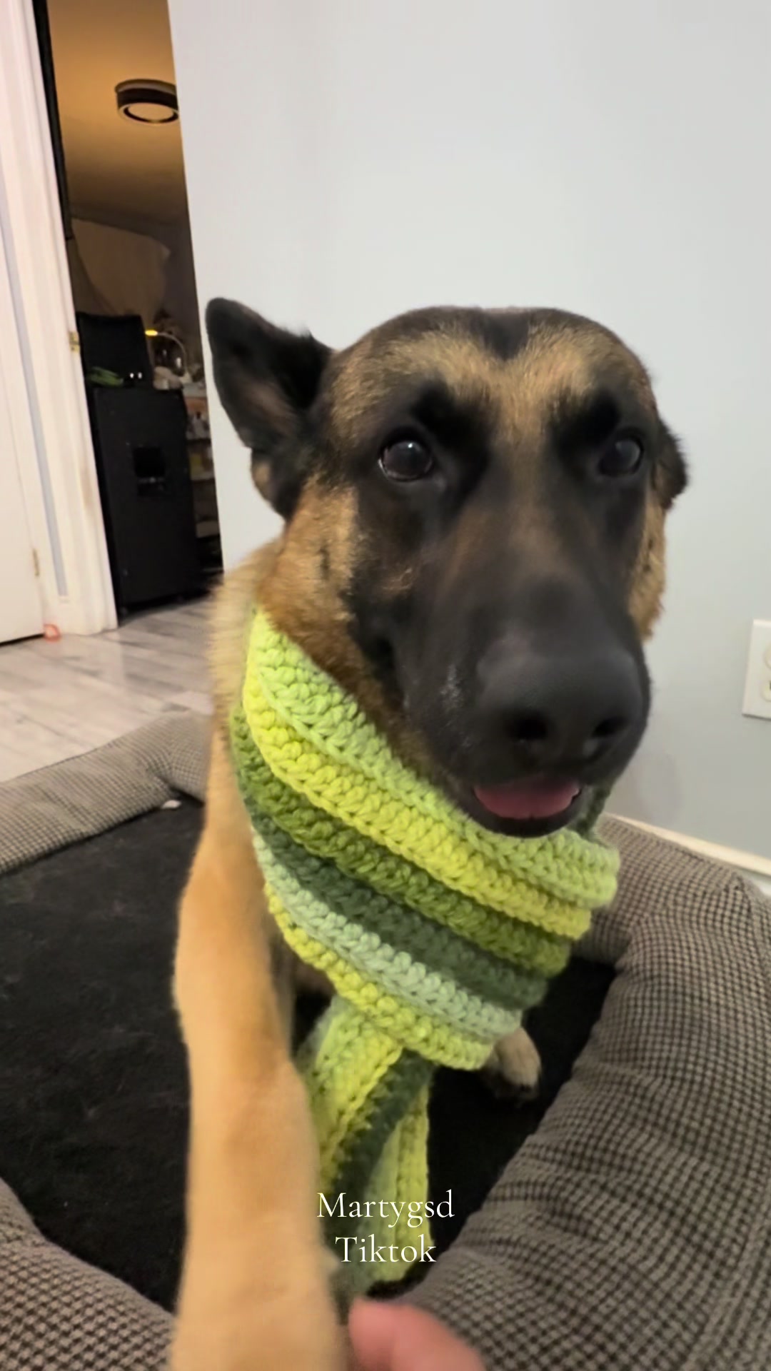 @Martygsd