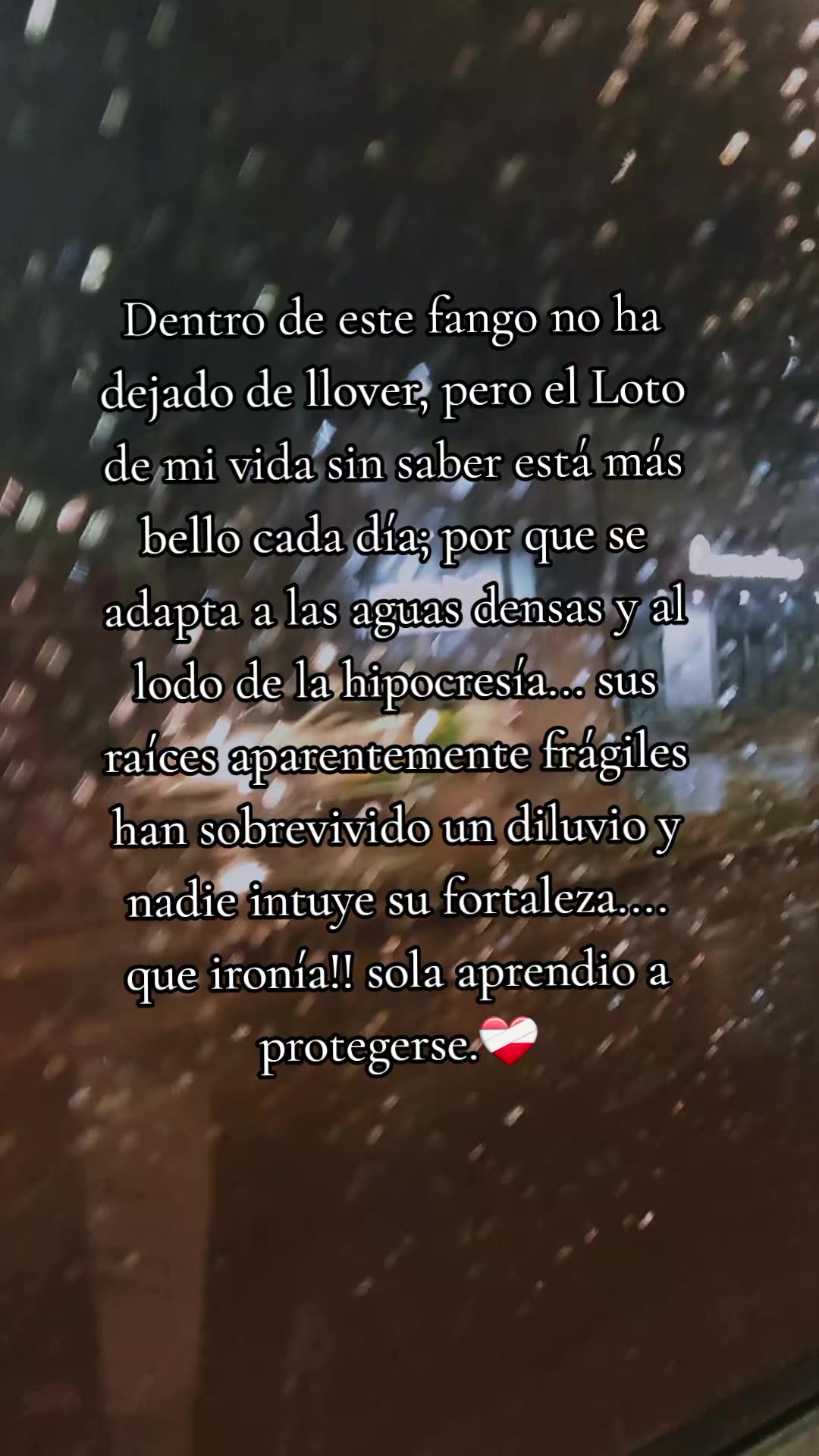 @️Blanca goga