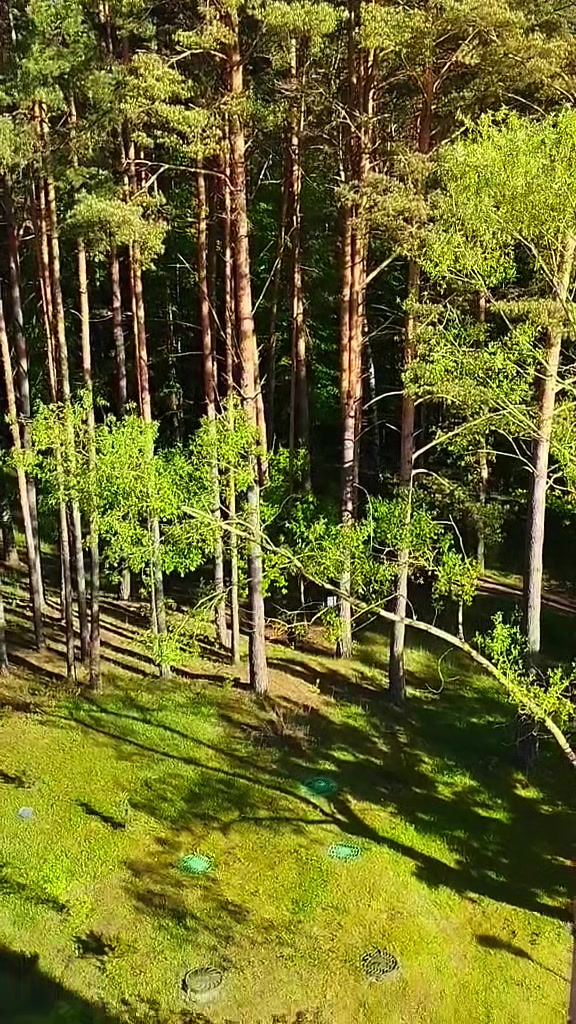 @Инна_🇧🇾🇧🇾🇧🇾_