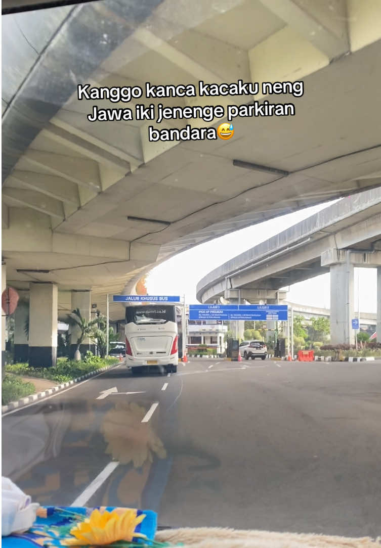 @arifinsalim