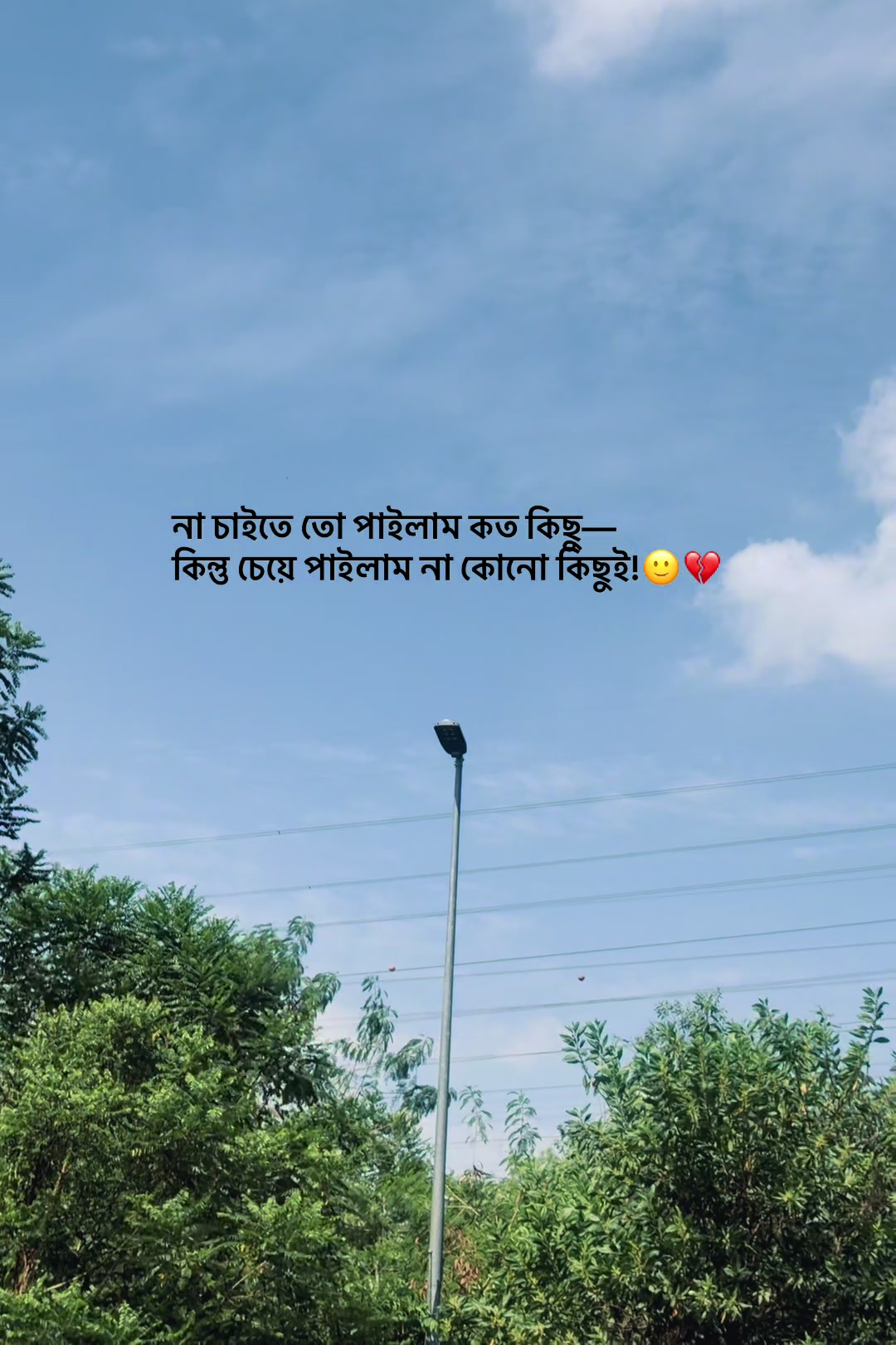 @आईएएन ┊🐥