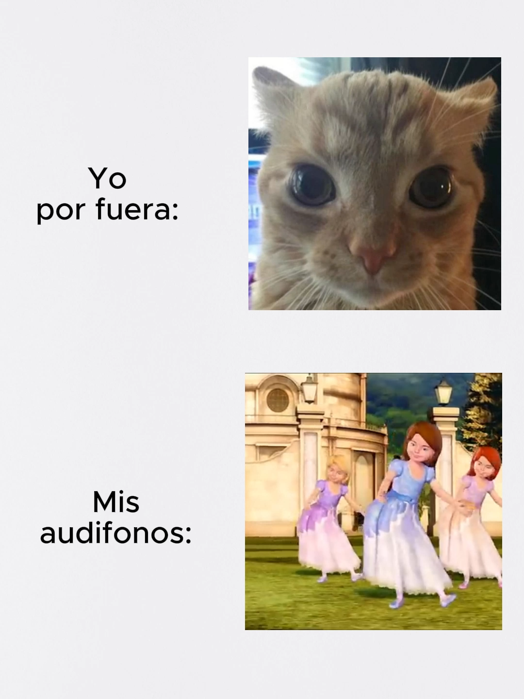 @angelecita