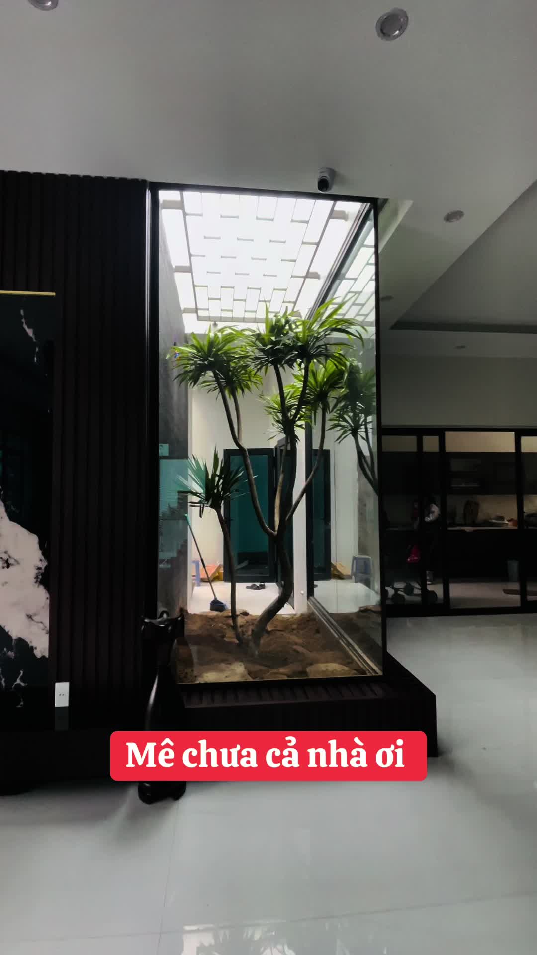@Shop Cây Cảnh Hương Nguyễn