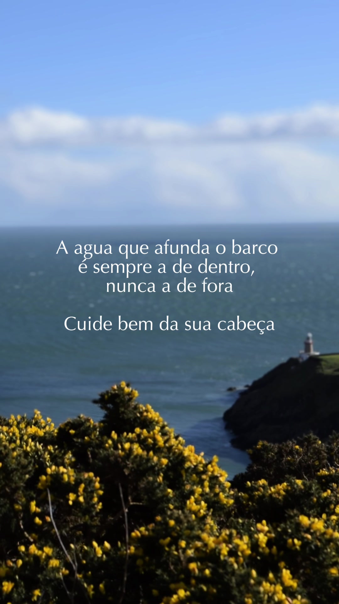@Aline Ribeiro