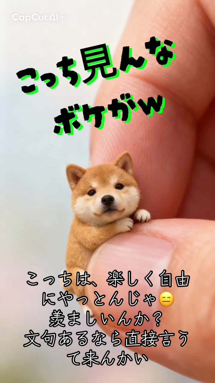 @団長だけどなに〜?👉👈🐕 ͗ ͗ ͗