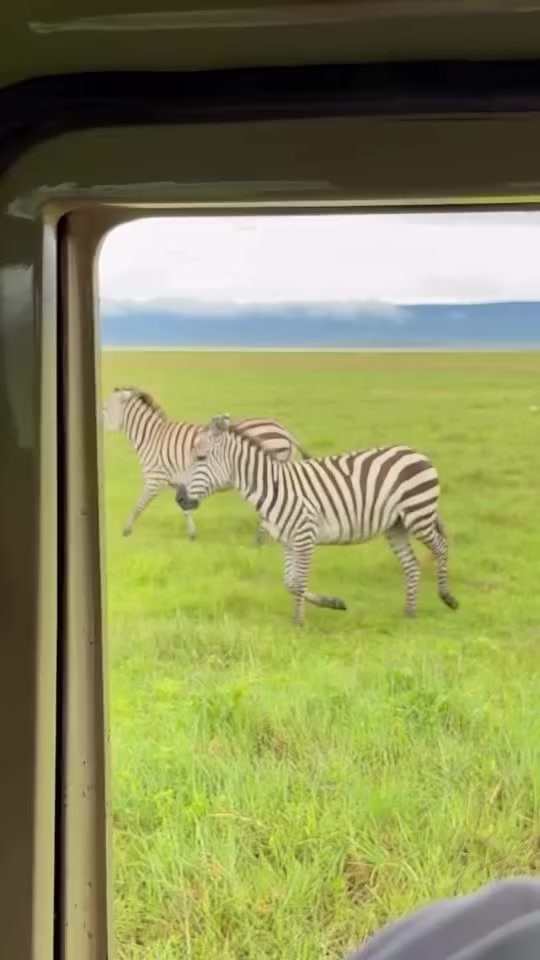 @David_Nature_Africa