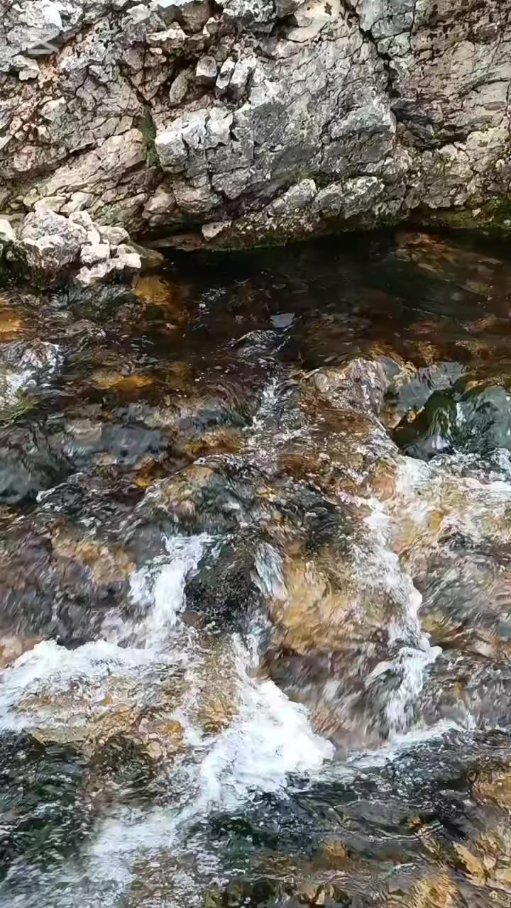 @DAĞCI.46