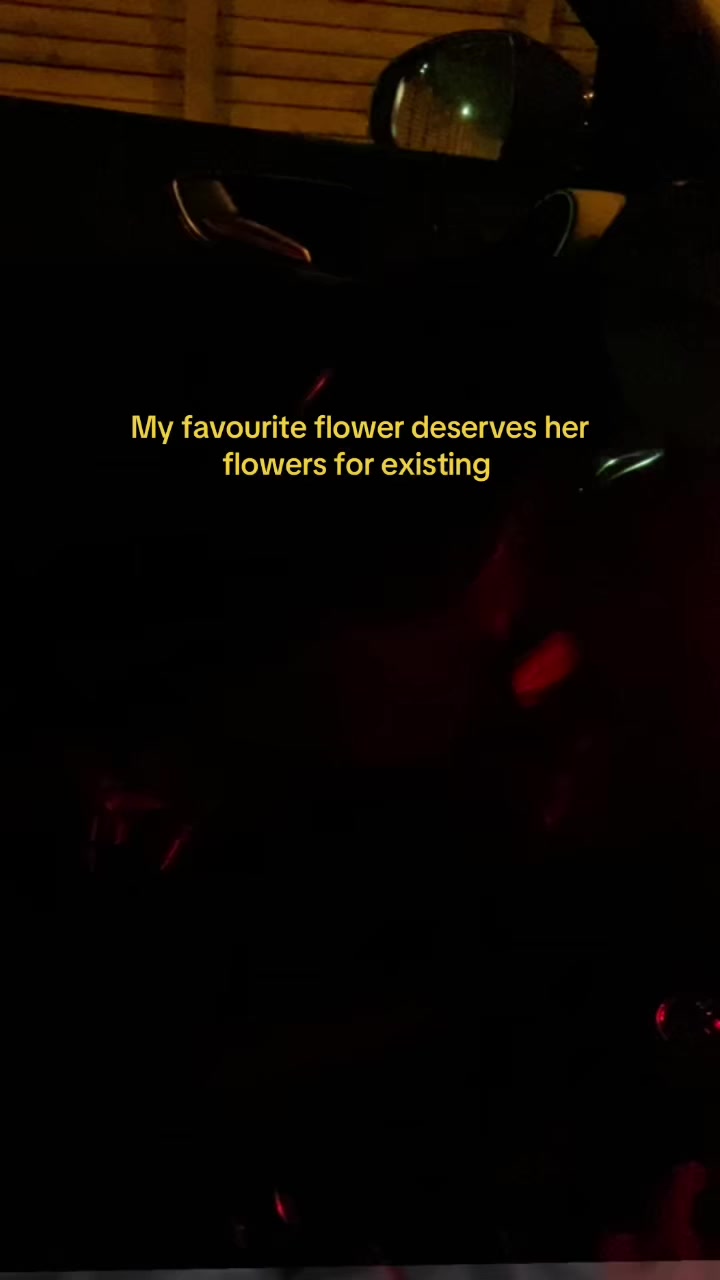 @katt