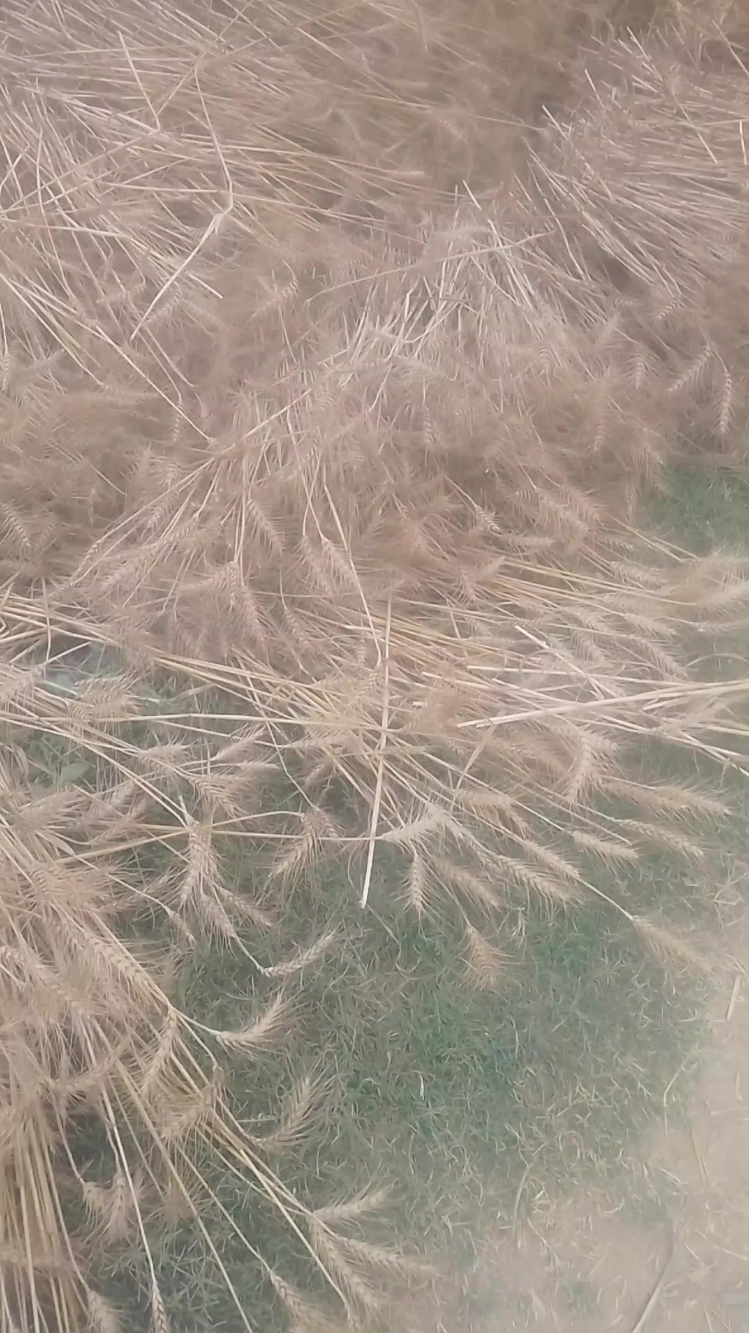 @TikTok23