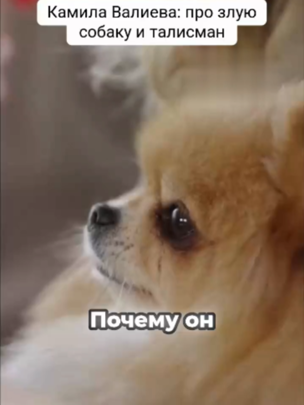 @On Ice