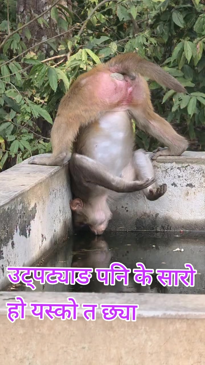 @जयराम अधिकारी निश्चल