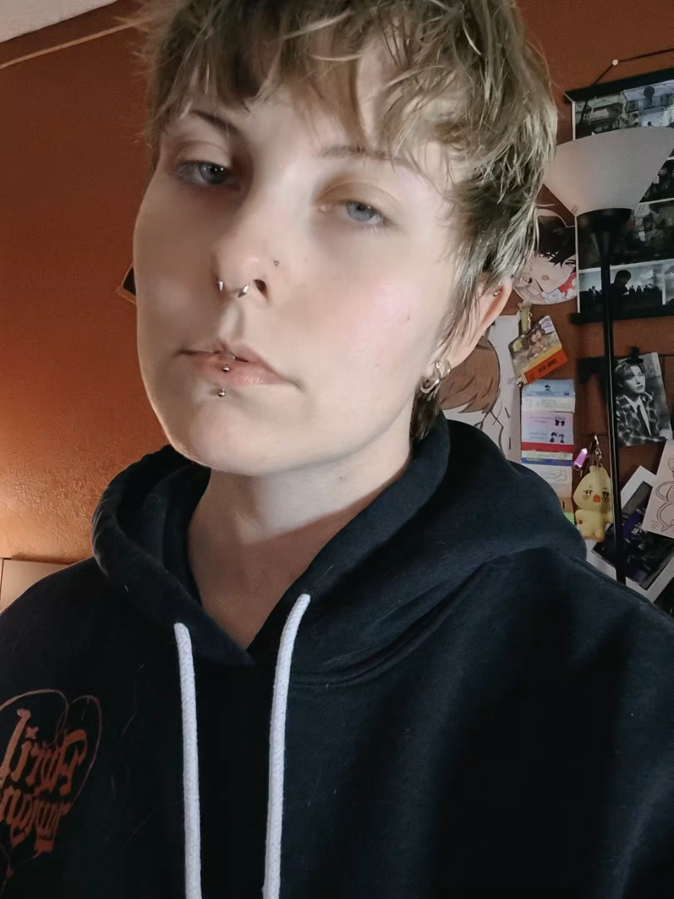 @krysa.png