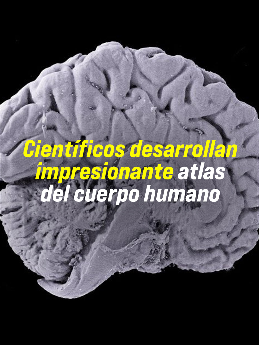 @Ahora Resulta