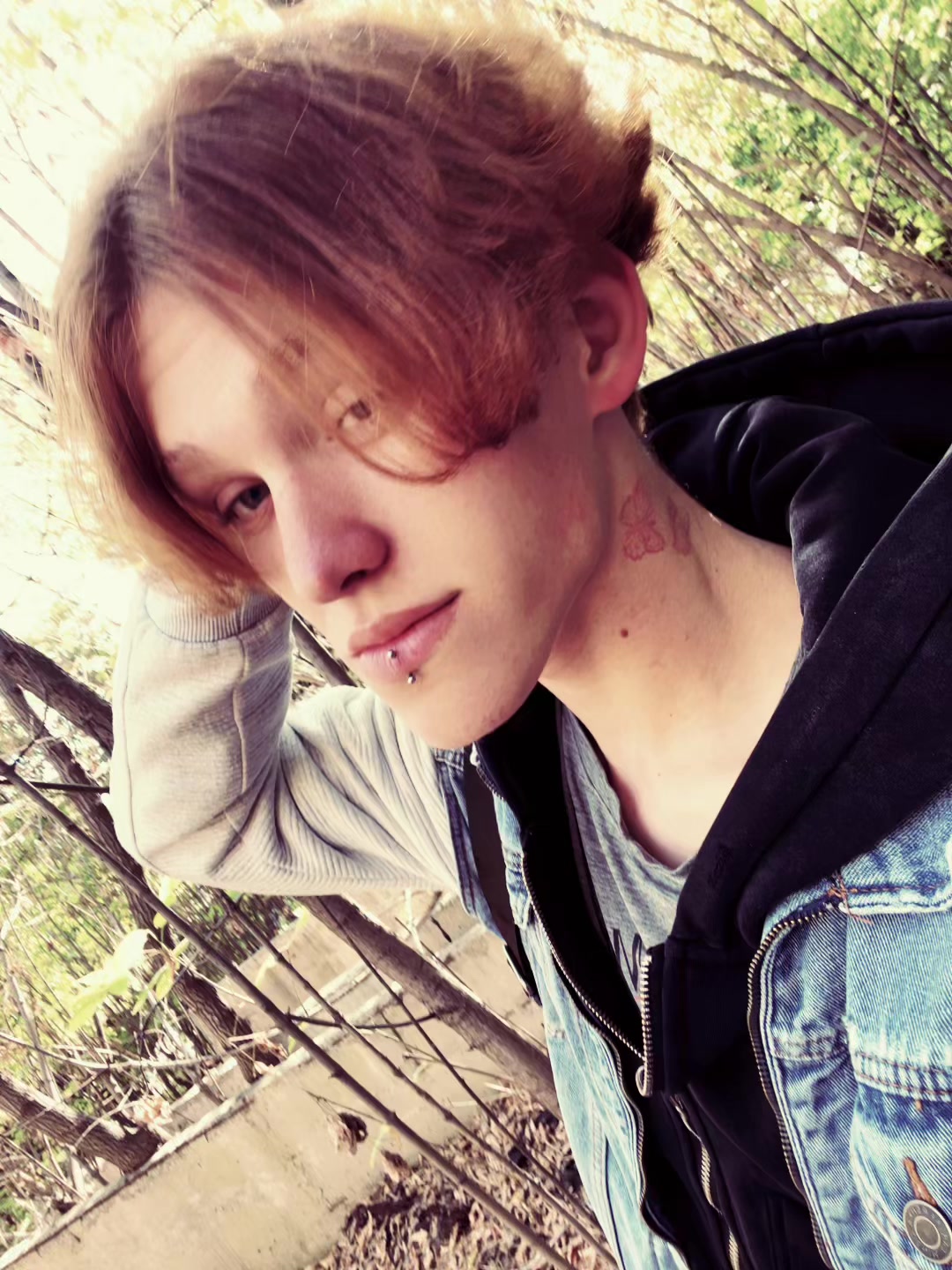 @ТГК: BatRIP