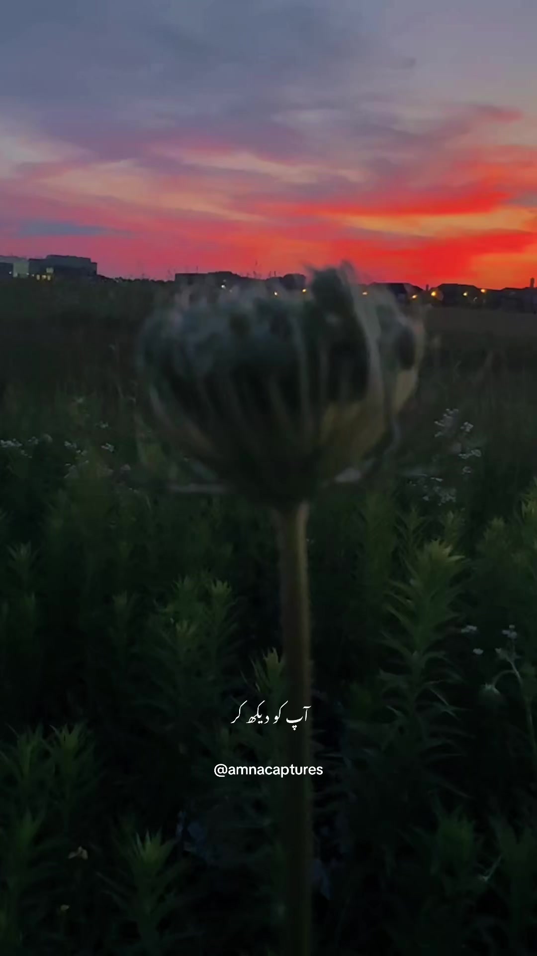 @Nature lover 🇨🇦