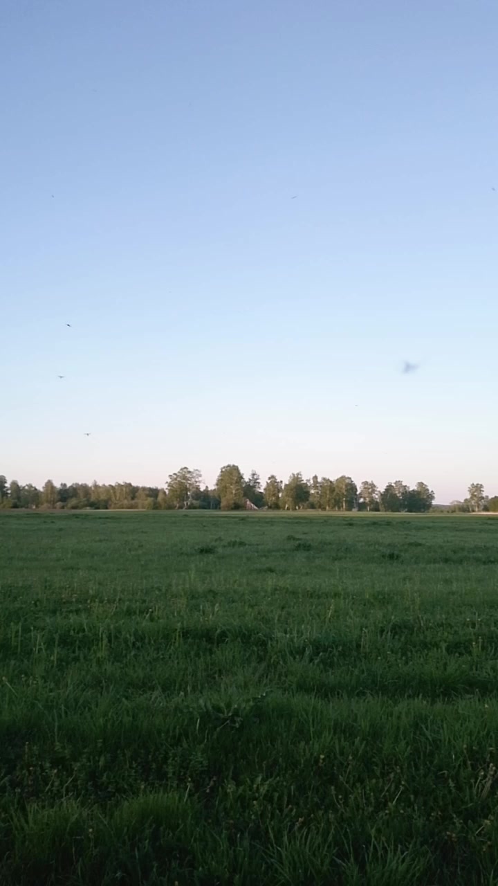 @VERTIGOVIH 140