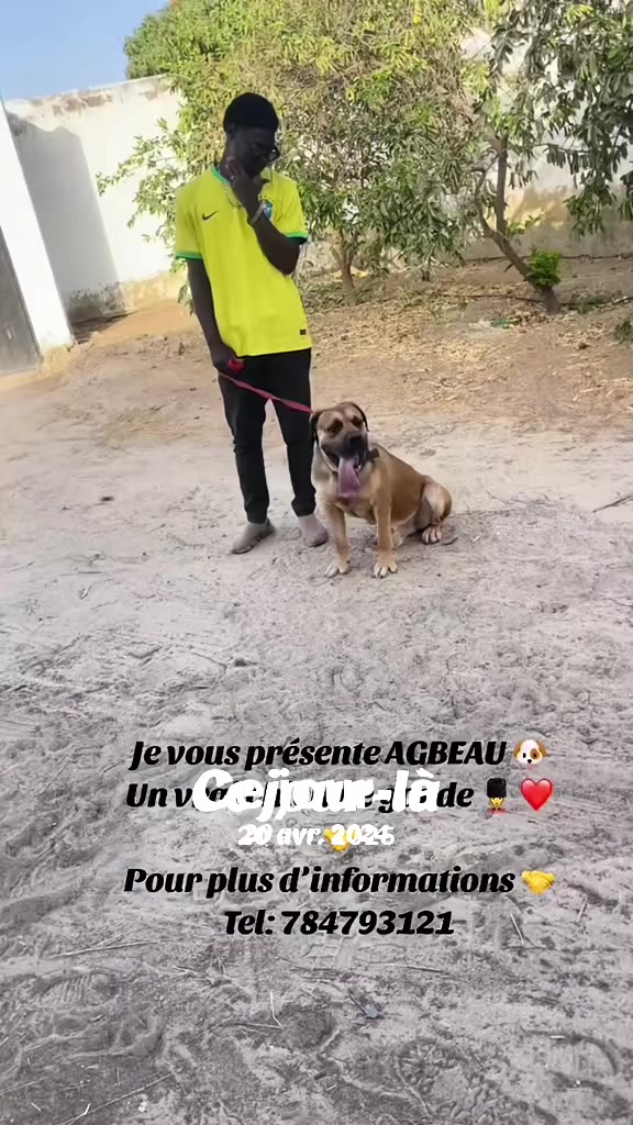@Momoparleauxchiens🇸🇳🇩🇪