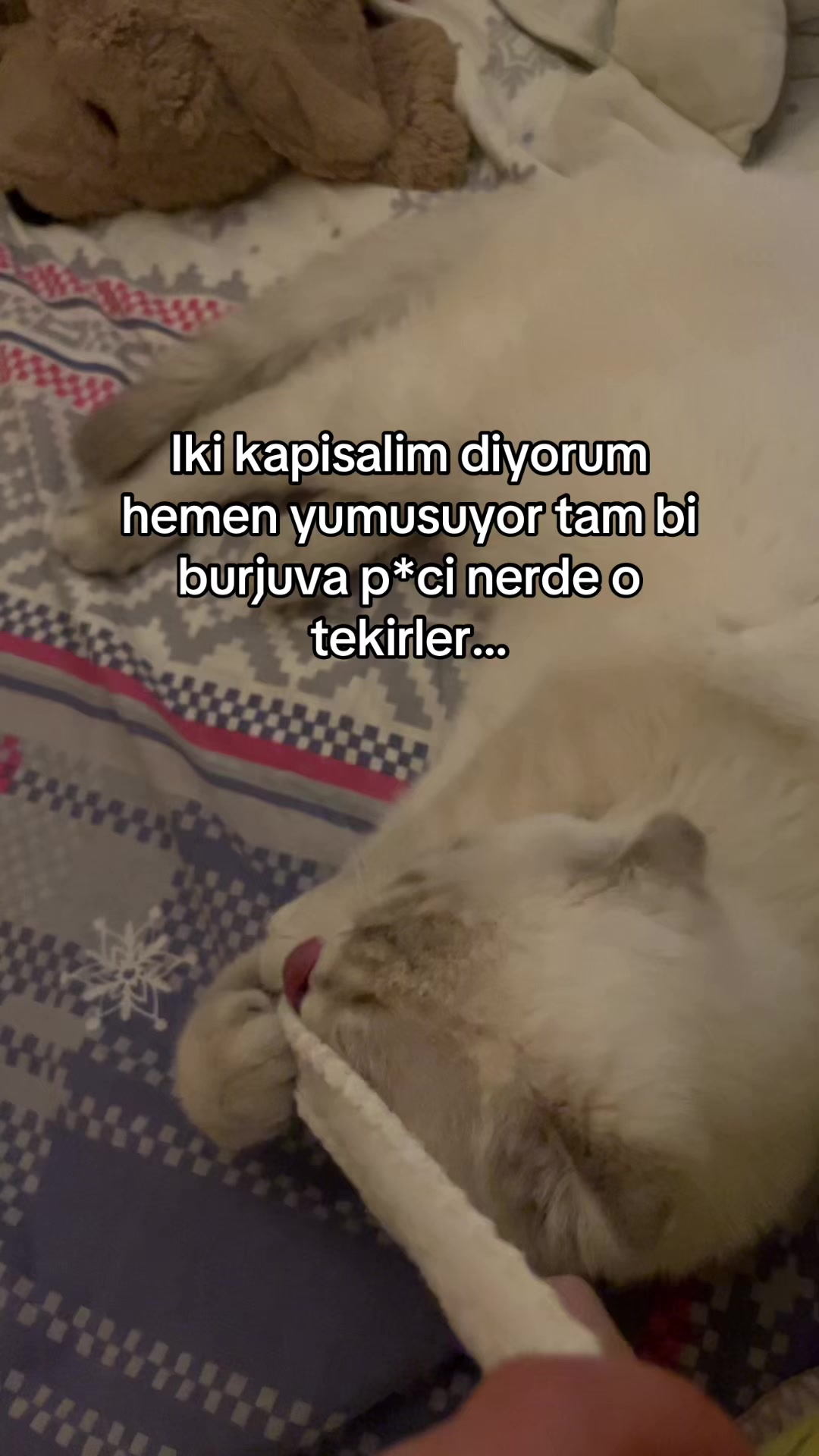 @user