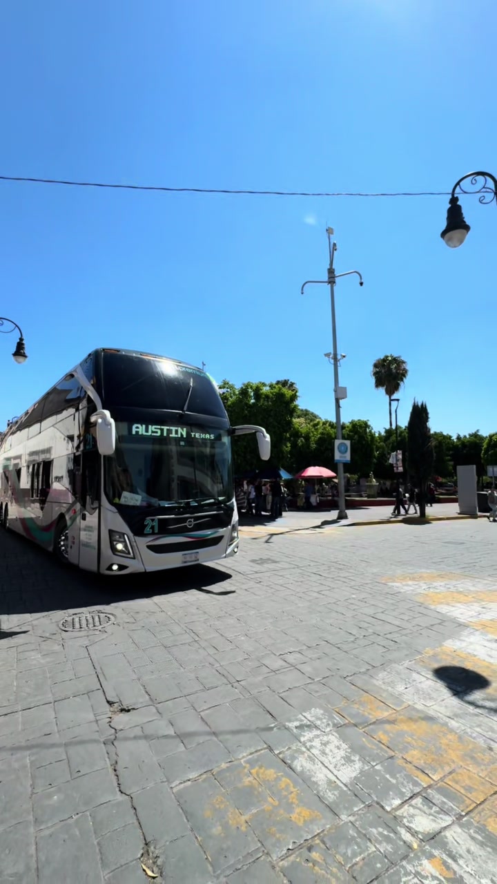 @TLpremium Buses