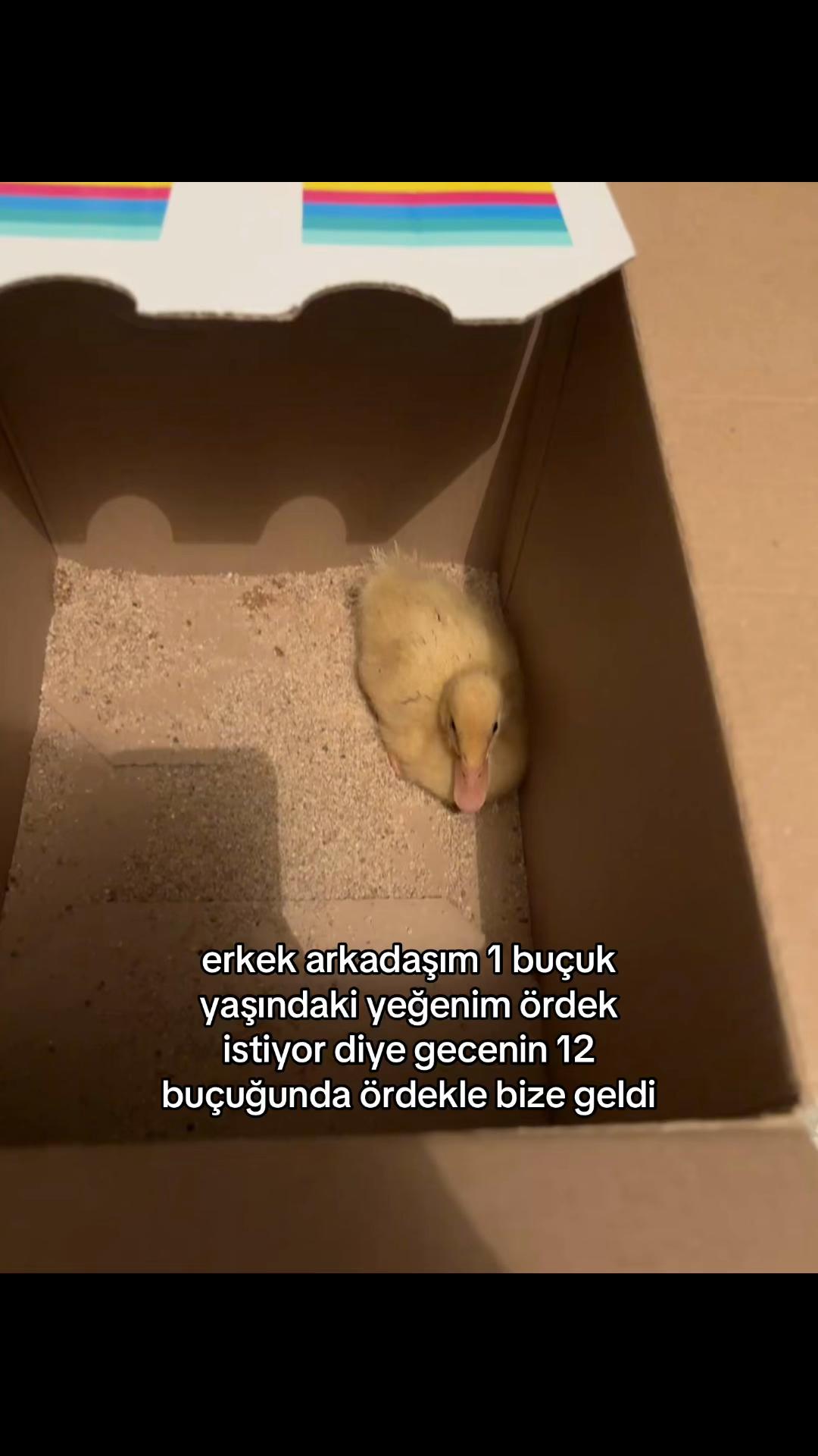 @d