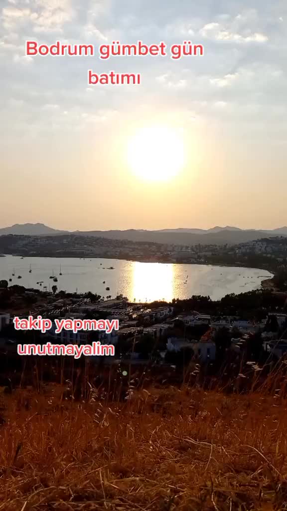 @ahmetdlgkrn