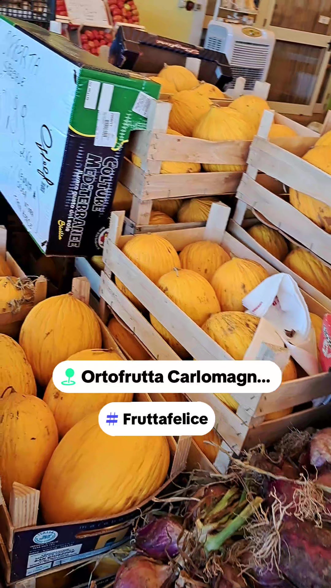 @carlomagnosalvato1