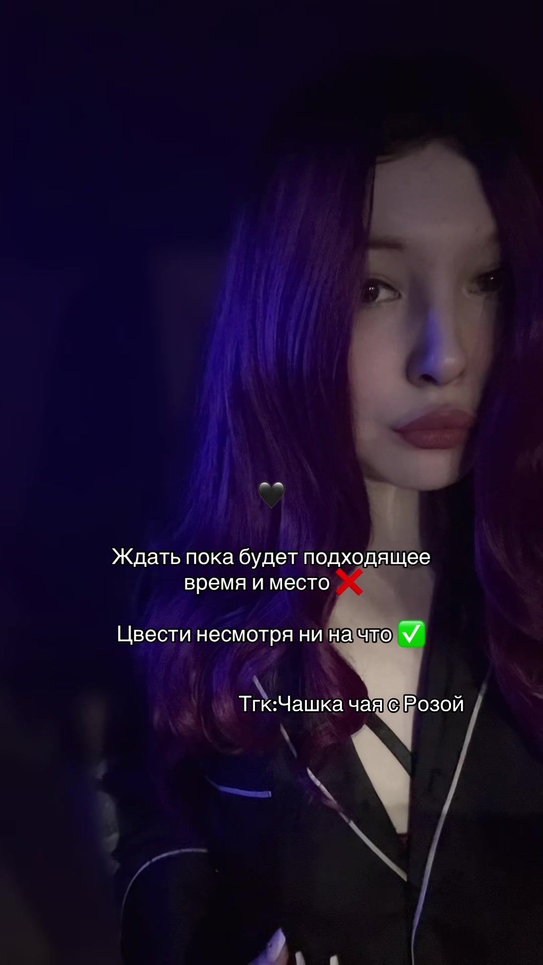 @🐉👁️ Гримуар Роуз 🩻🔮