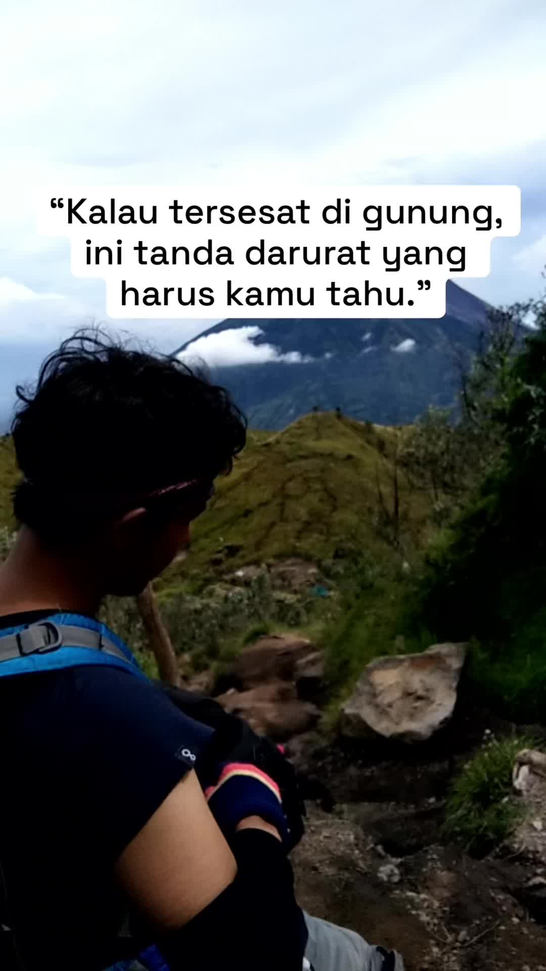 @Zaink Nst