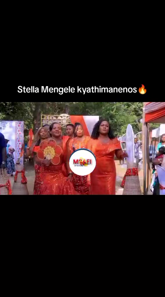@MSAFI TV💫ONLINE