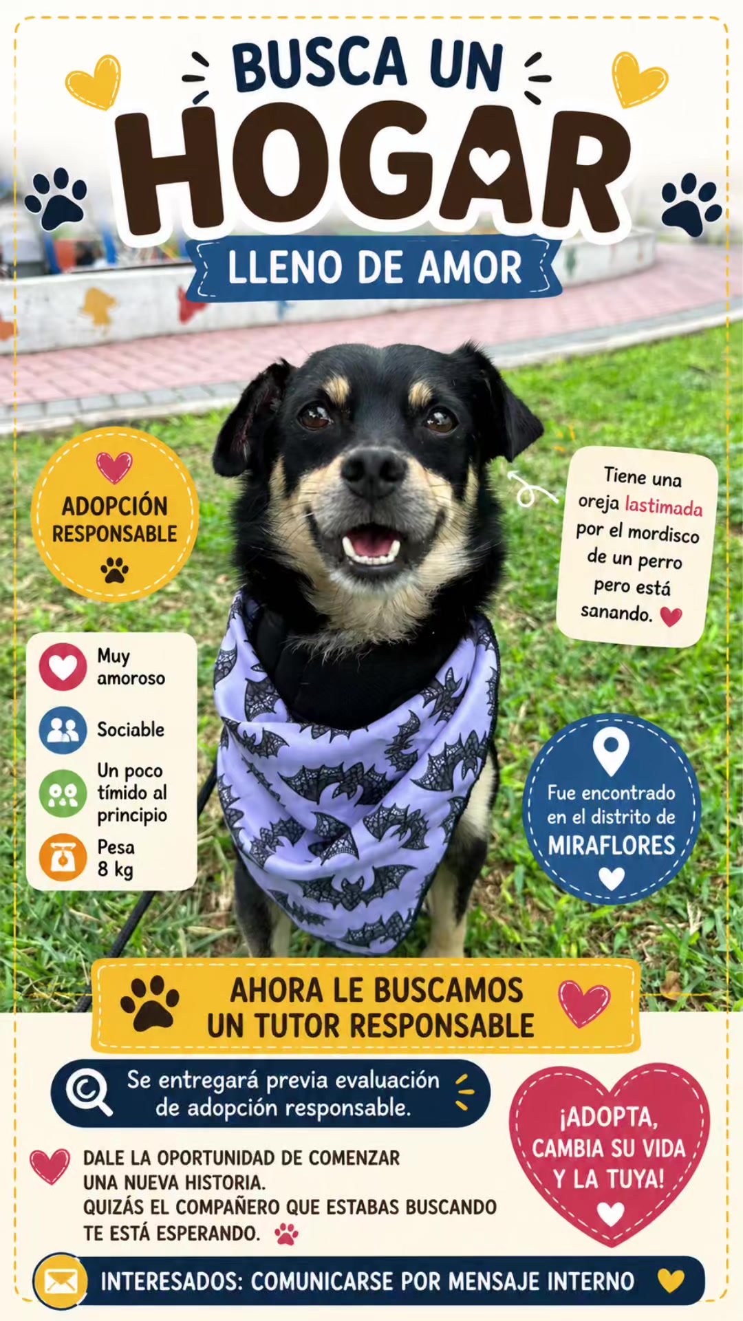 @Perritos Voladores