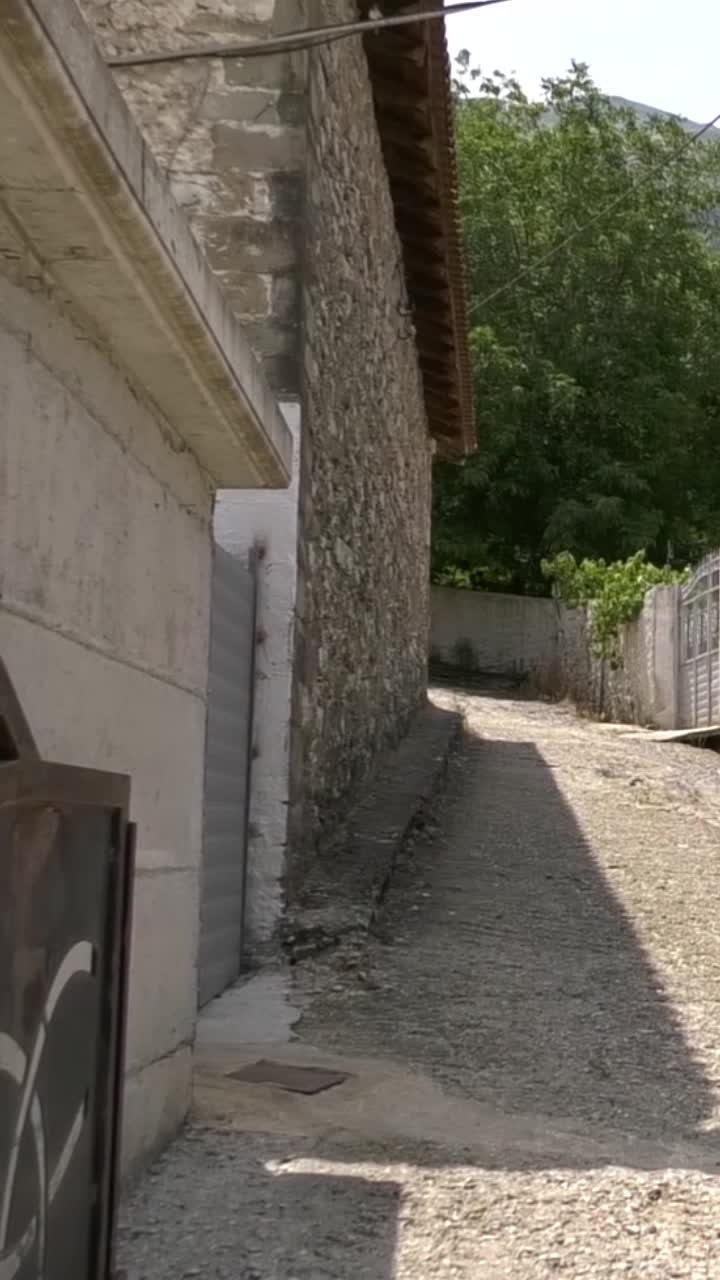 @blutelevizion