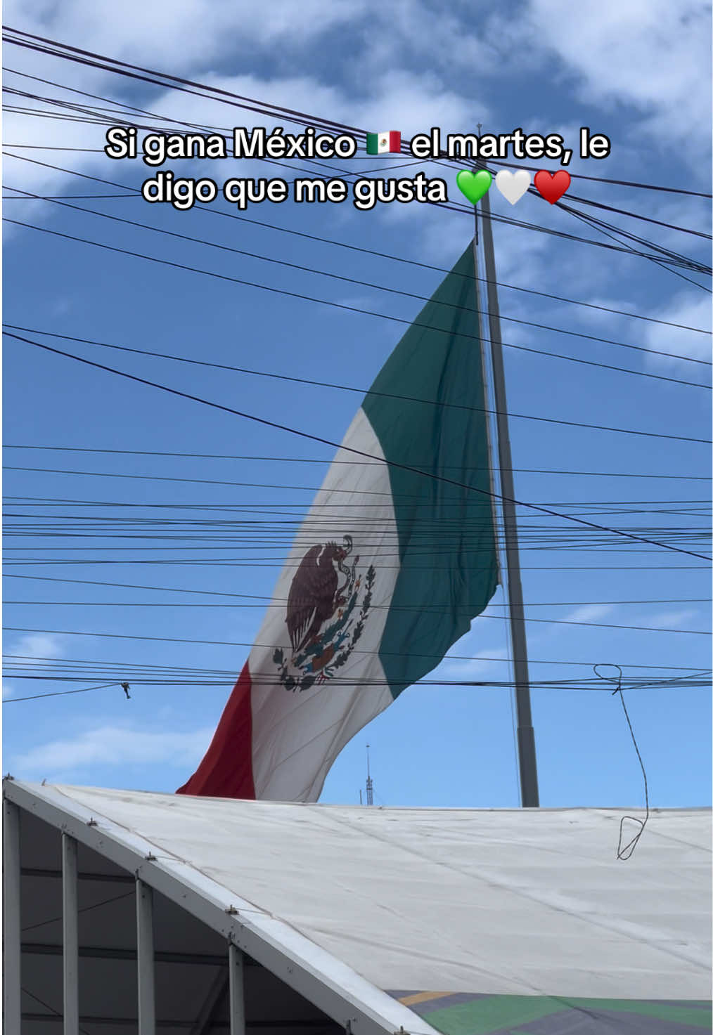 @&bull;𝑱𝒂𝒛𝒎𝒊𝒏 𝑮𝒓𝒂𝒋𝒆𝒅𝒂&bull;